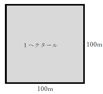 1ヘクタールは何メートル