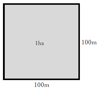 1haは100m×100m