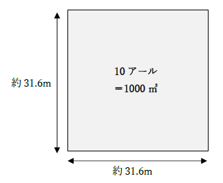 10アールの一辺の長さ