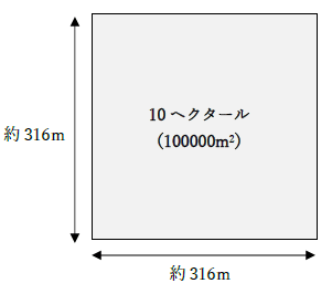 10ヘクタールは何㎡