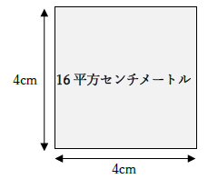 16平方センチメートルの広さ