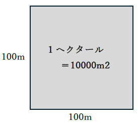 ヘクタールと平方メートルの関係