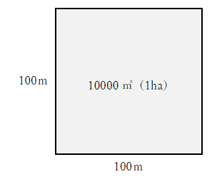 1ヘクタールの意味