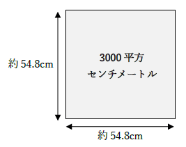 3000平方センチメートルはどれくらい