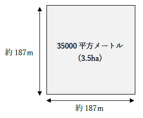 35000平方メートルの広さ