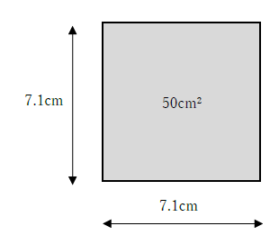 50平方センチメートルの広さと計算