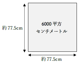 6000平方センチメートルの広さ