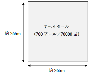 ヘクタールの一辺の長さは何メートル